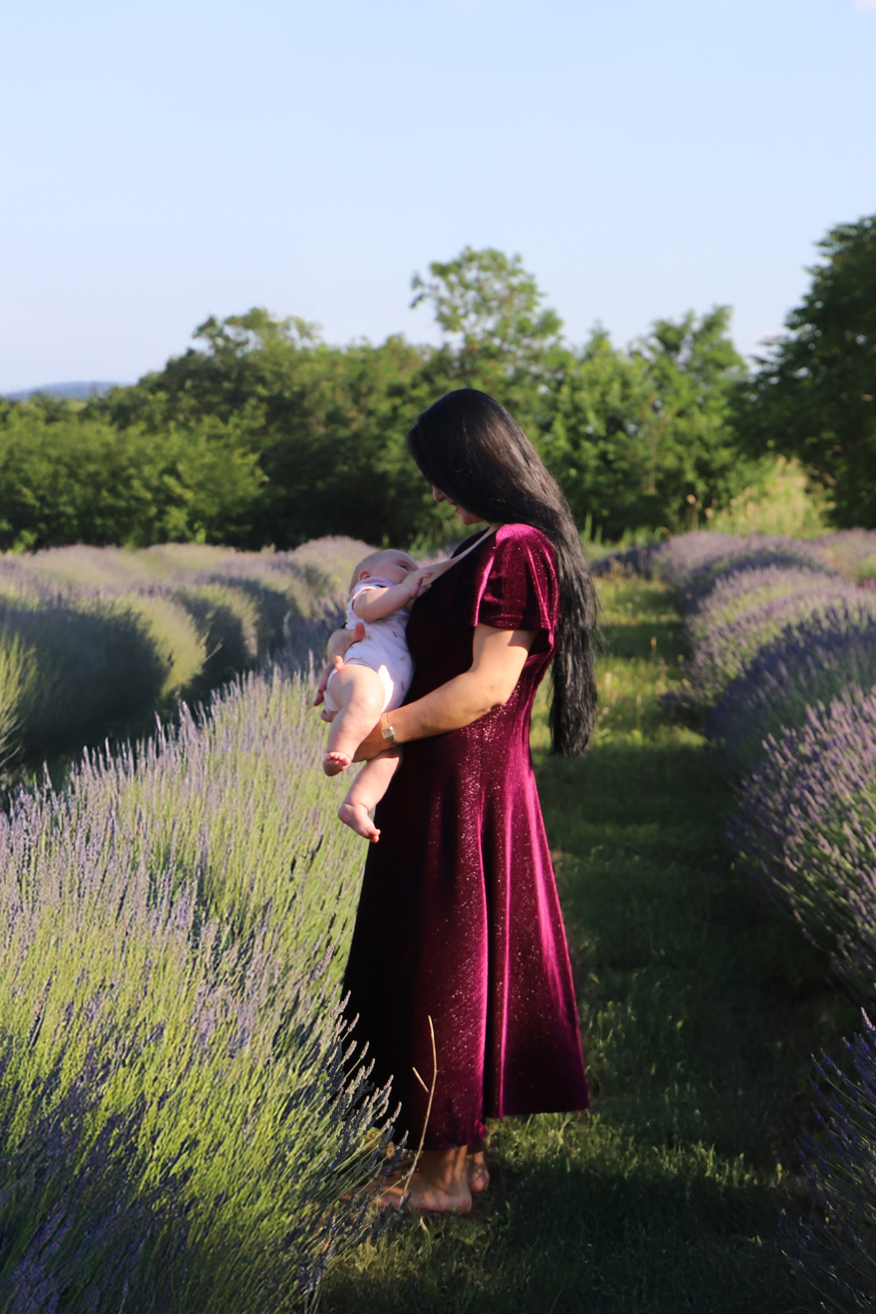 croped lavender